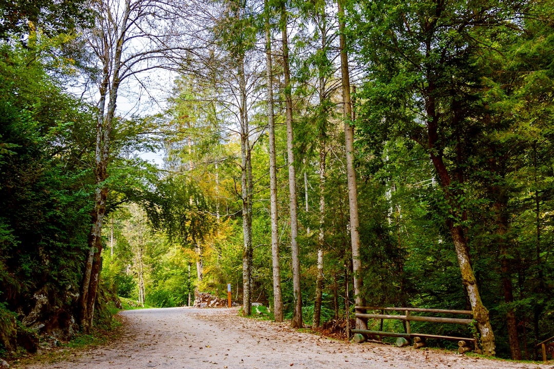 Eco-Friendly Adventures: Exploring the Great Outdoors Sustainably