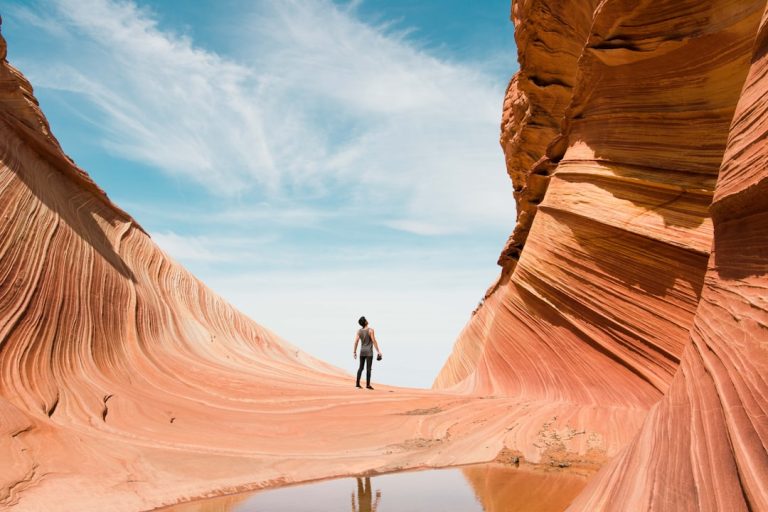 Embrace the Wild: How Nature Travel Can Rejuvenate Your Spirit